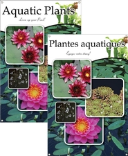 Aquatic Plants/Plantes aquatiques 24