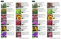 Catalog: Plant Details