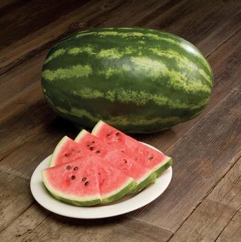 Citrullus 'Dulce Fantasia F1'