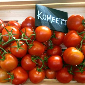 Lycopersicon esculentum 'Komeet'