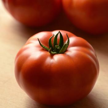 Lycopersicon esculentum Heirloom Marriage™ 'Genuwine'