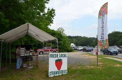 Strawberries Feather Flag