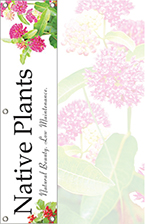 Native Plants 48