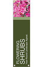 Flowering Shrubs 48