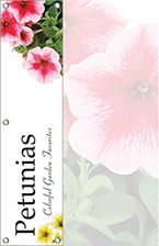 Petunias 48