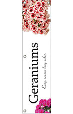 Geraniums 48