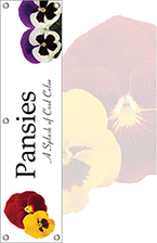 Pansies 48