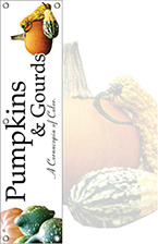 Pumpkins & Gourds 48