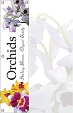 Orchids 48