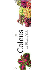 Coleus 48