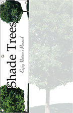 Shade Trees 48
