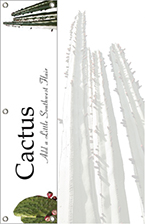 -Delete Cactus 48