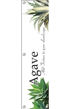 Agave 48