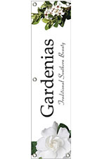 Gardenias 48