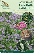 Native Plants for Rain Gardens-MID-ATLANTIC 24