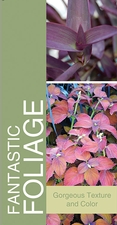 Fantastic Foliage 18