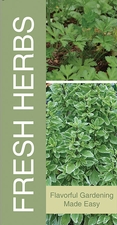 Fresh Herbs 18x36 - Bold