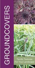 Groundcovers 18