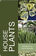 House Plants 24x36 - Bold
