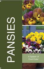 Pansies 24