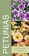 Petunias 18