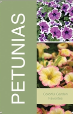 Petunias 24