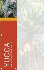 Yucca 48