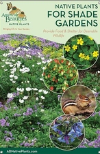 Native Plants for Shade Gardens-MIDWEST/E. GREAT PLAINS 24