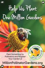 MPGC: Bee on Helenium 24