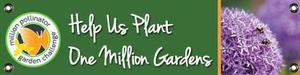 MPGC: Bees on Allium 47