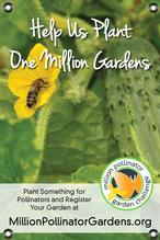 MPGC: Bee on Cucumber 24