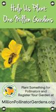 MPGC: Bee on Cucumber 18