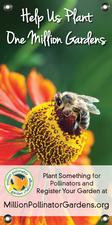 MPGC: Bee on Helenium 18