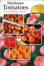 Heirloom Tomatoes 24