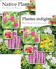 Native Plants/Plantes indigènes 24x36 - Traditional