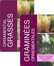 Ornamental Grasses/Graminées ornementales 24