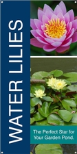 Water Lilies 18