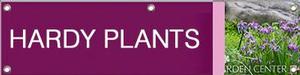 Hardy Plants 47