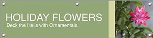 Holiday Flowers 47