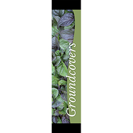 Groundcovers 12x55 - Swoop