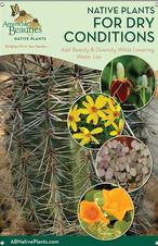 Native Plants For Dry Conditions-SOUTHWEST 24