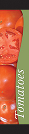 Tomatoes 12x55 - Swoop