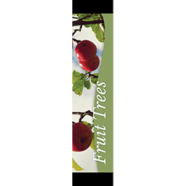 Fruit Trees 12