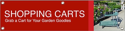 Shopping Carts 47